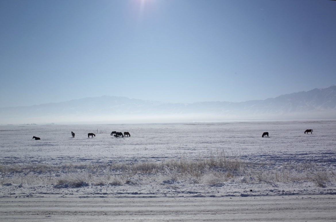 kazachstan step zimą